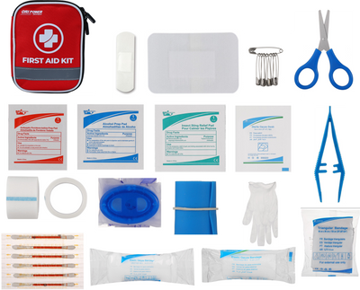 RAISMILE Compact First Aid Kit for Home, Travel, and Outdoor Emergencies